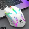 Compact Wireless RGB Gaming Mouse - 1 Pcs